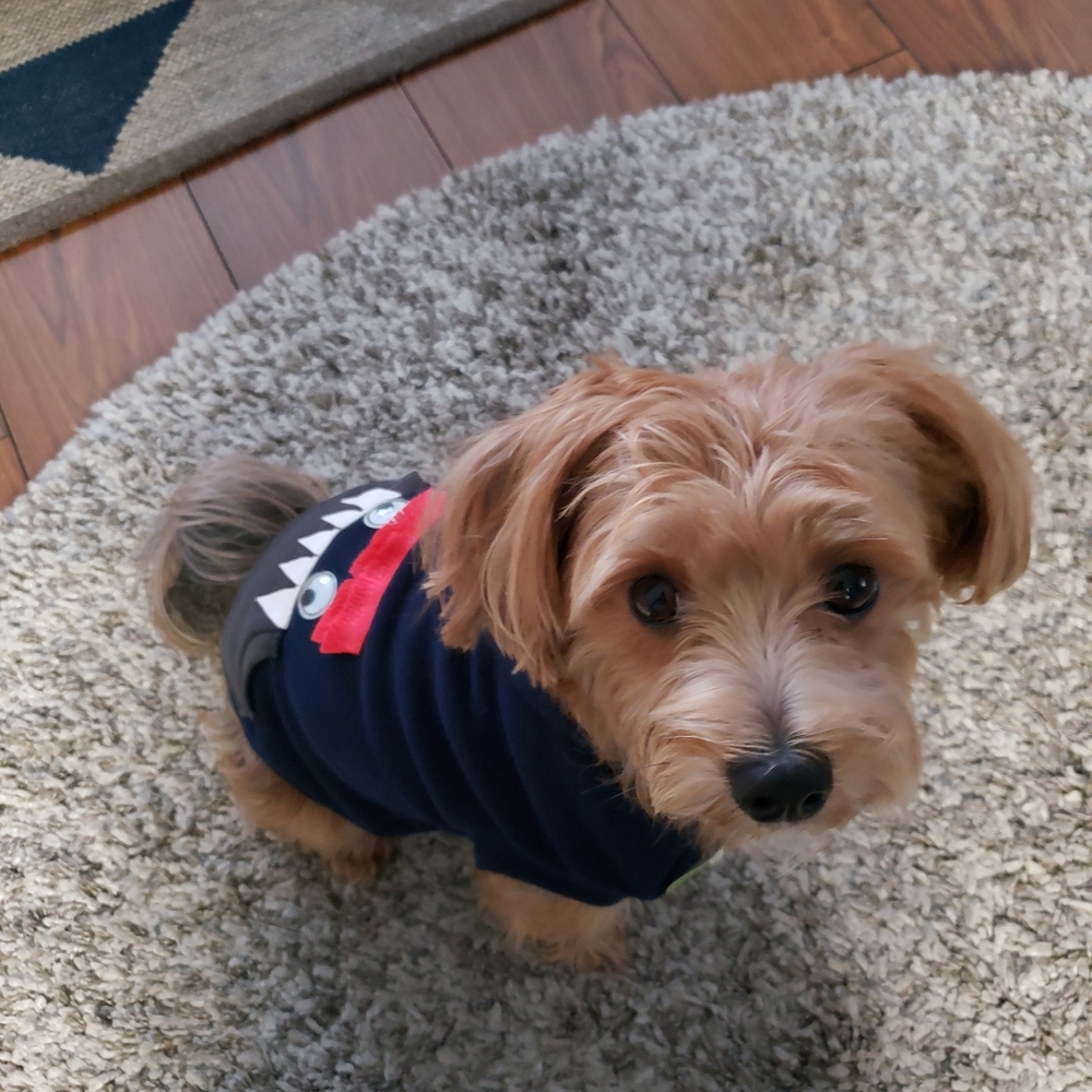 ❤ Bookmark My Store! "Like" ❤ to Save - Picture 2 of 16